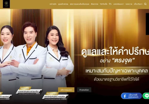 ผลงานเว็บไซต์