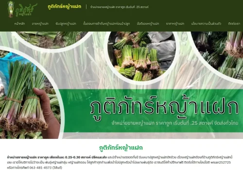 ผลงานเว็บไซต์