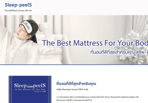 ผลงานเว็บไซต์