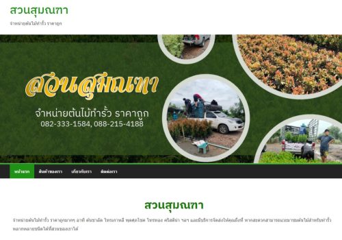 ผลงานเว็บไซต์