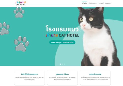 ผลงานเว็บไซต์