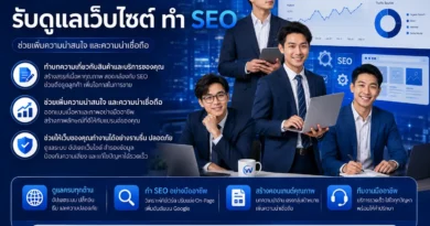 รับดูแลเว็บไซต์